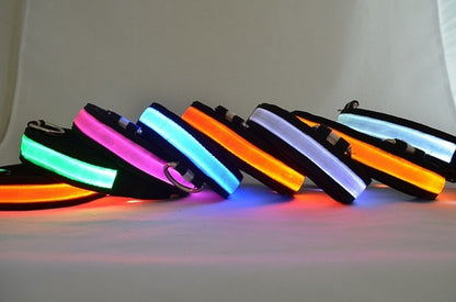 LED Light Up Dog Collar – Safety Glow Collar for Night Walks