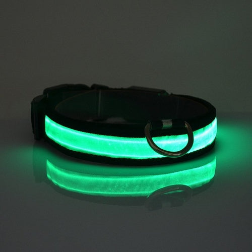 LED Light Up Dog Collar – Safety Glow Collar for Night Walks