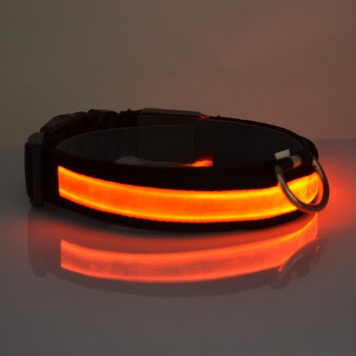 LED Light Up Dog Collar – Safety Glow Collar for Night Walks
